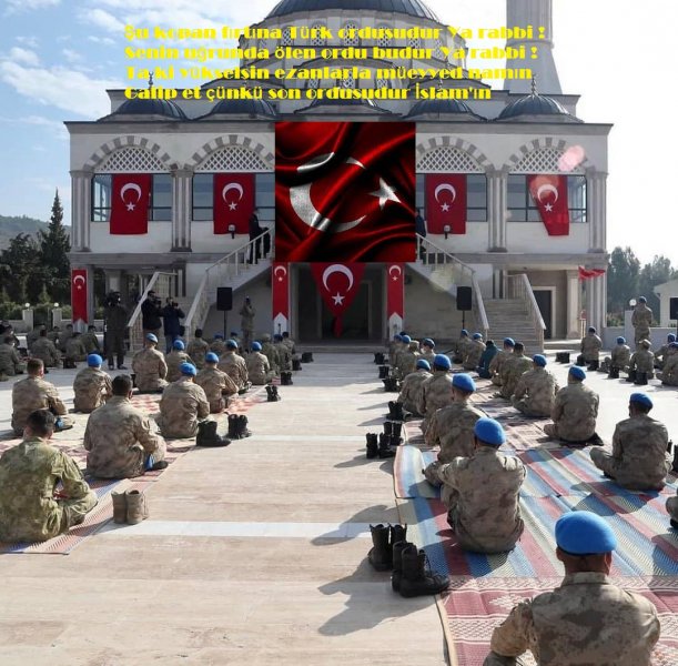 001.jpg