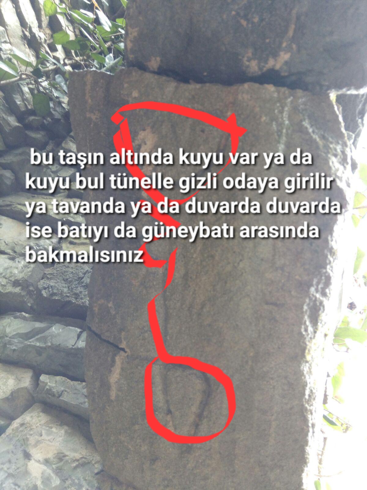 0515529c-b351-48ea-bbb5-bdbf4ac2a553.jpeg