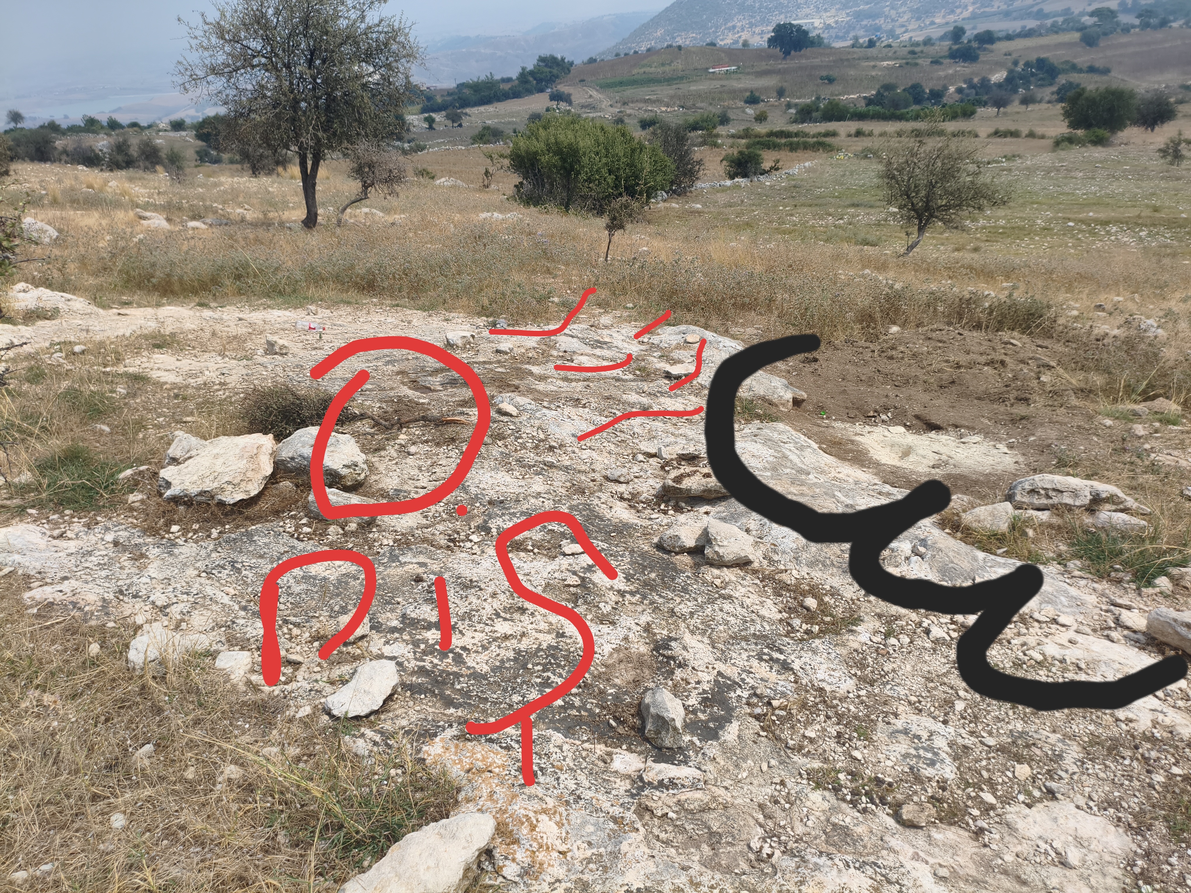 1000058308.jpg