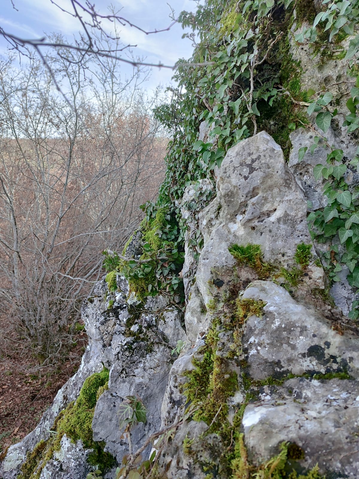 1000972878.jpg
