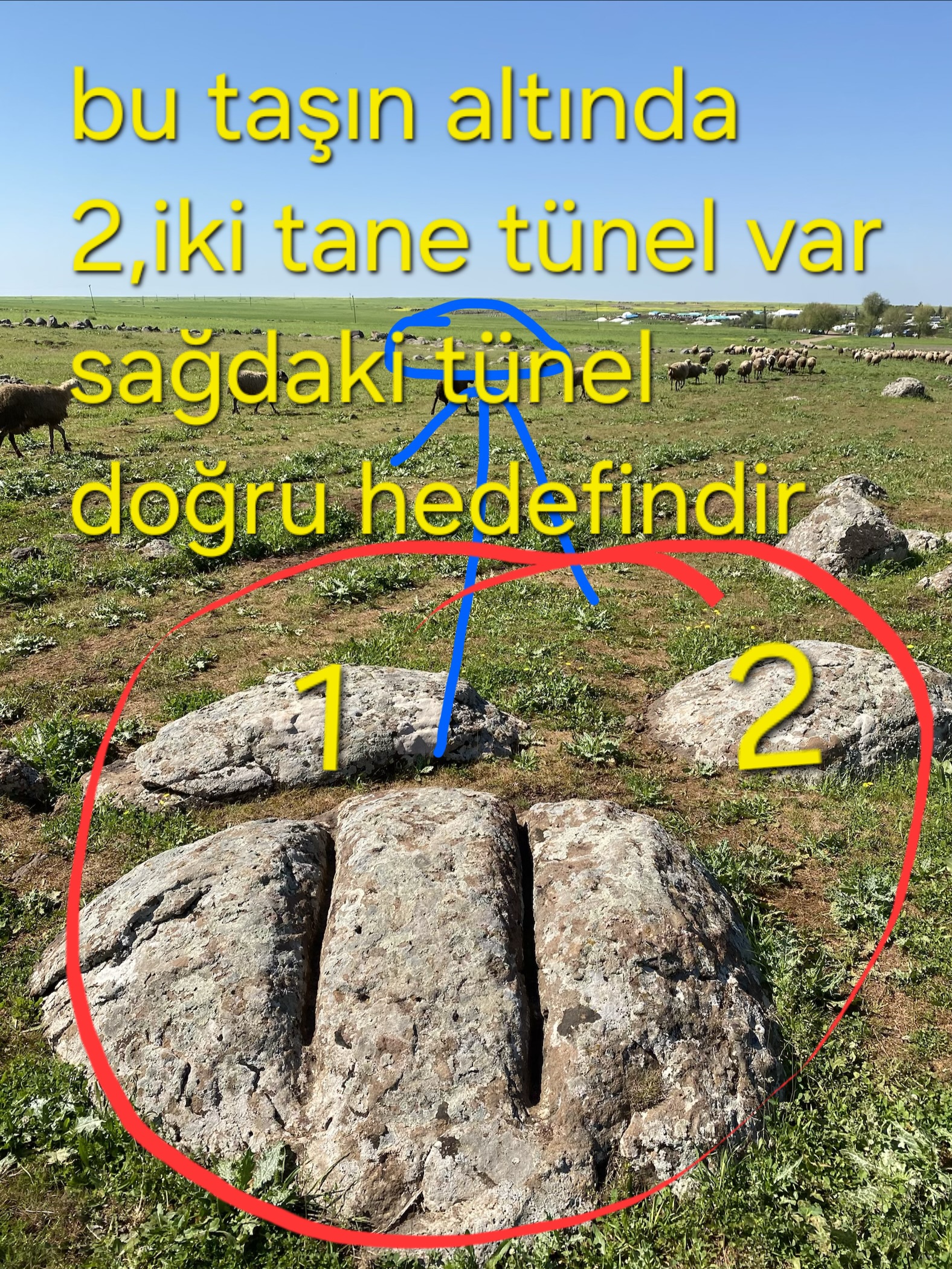 11465.jpg