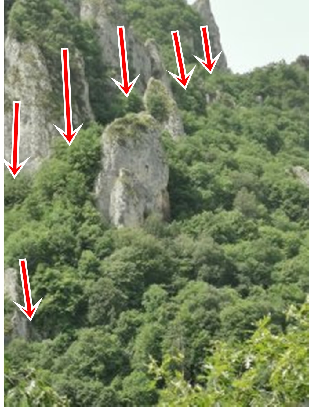 139602-9cb53e5b3428daacebcdddbe4fead671.jpg