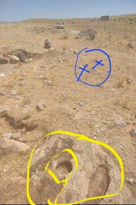 158743-e2f7398fa6d1a9a6bb9c723a6b91facc.jpg