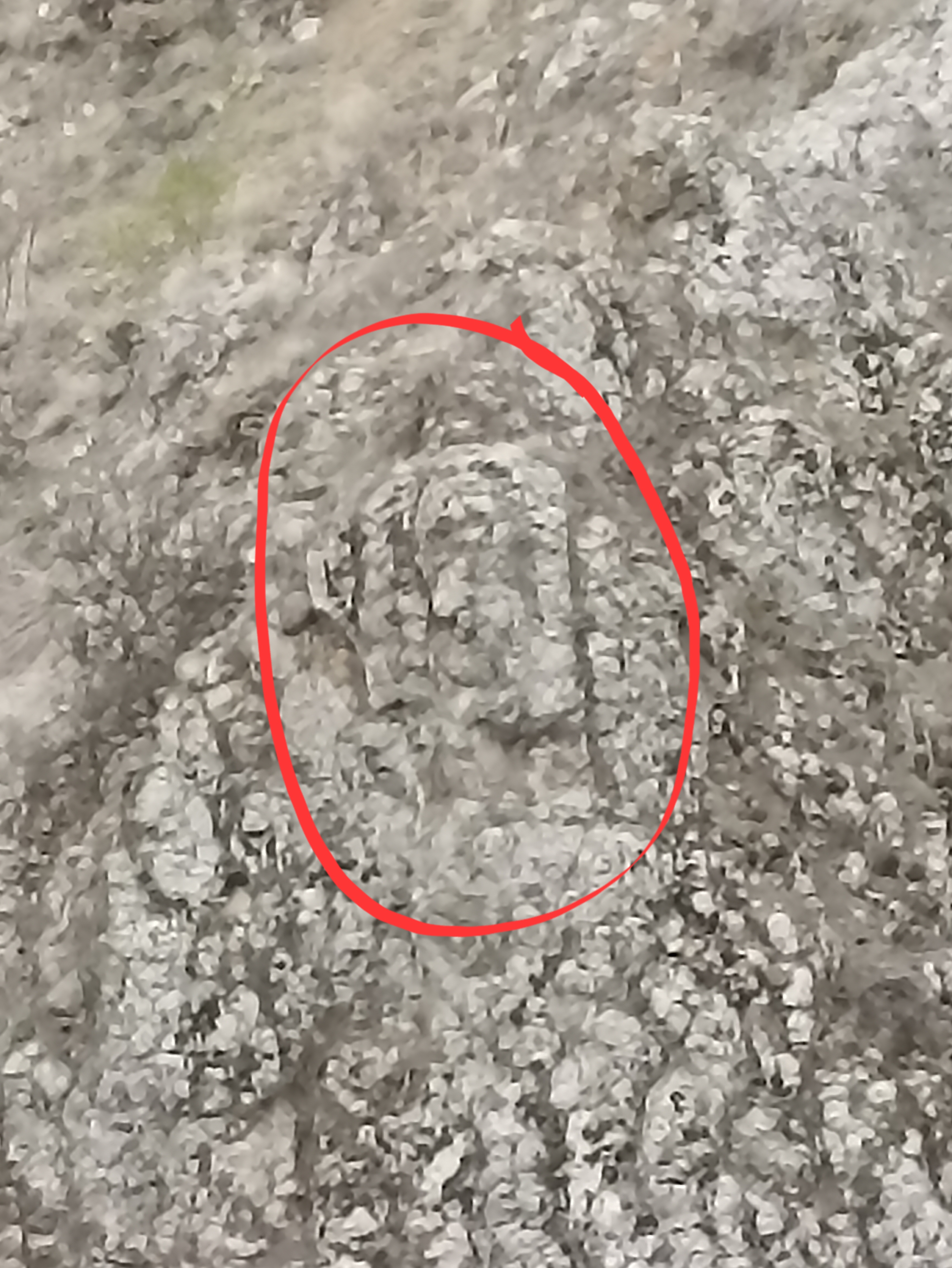 16507.jpg