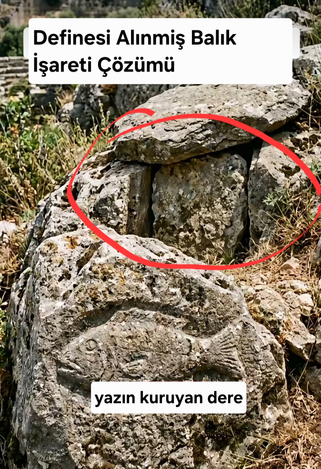 16999.jpg