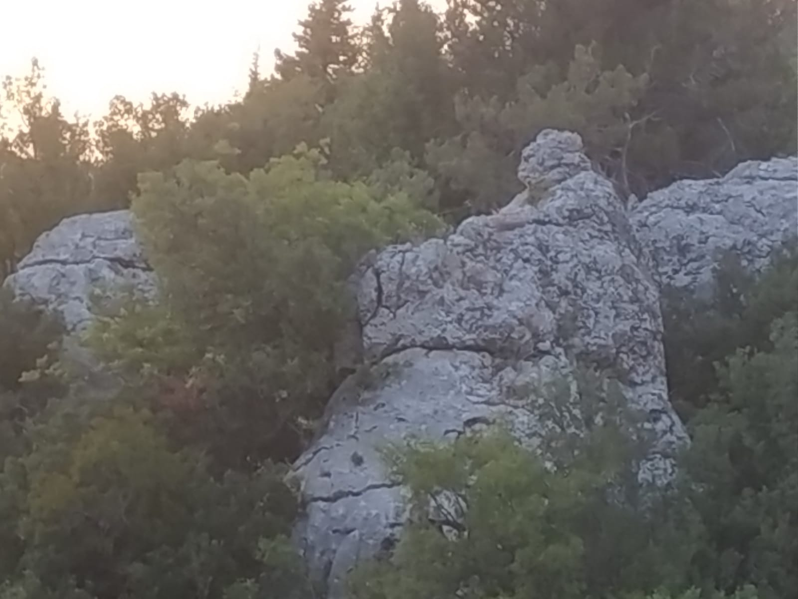 1779050175749.png