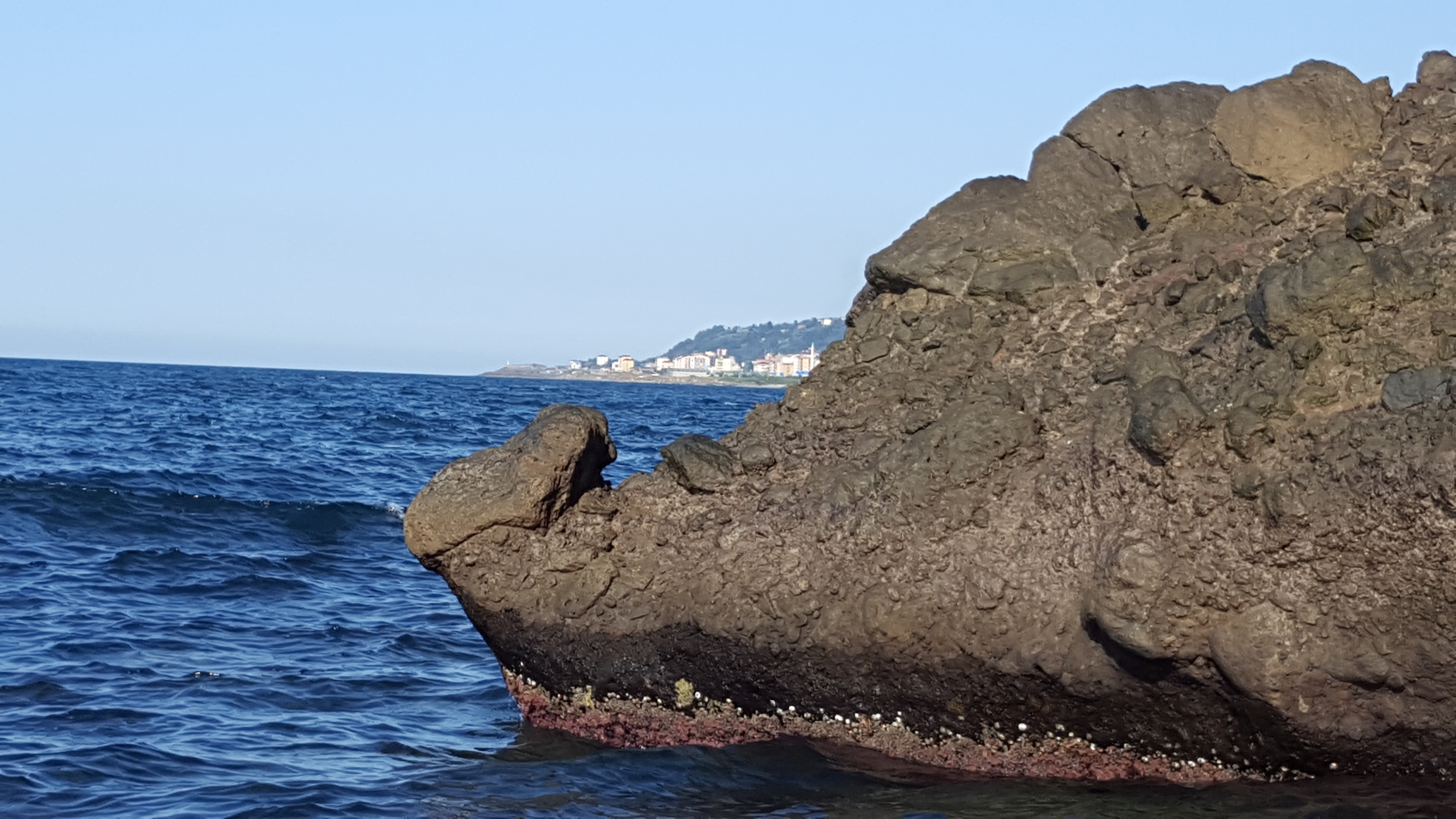20170910_160513.jpg