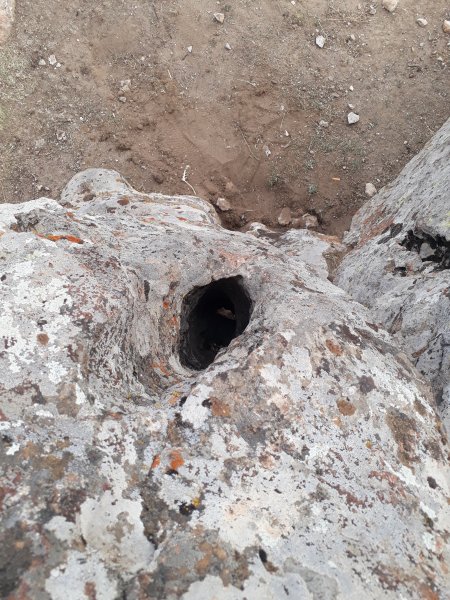 20191006_143732.jpg