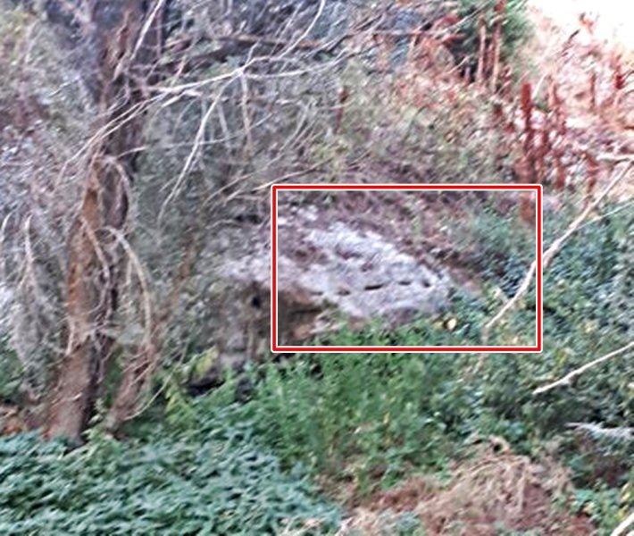 20200827_190225.jpg