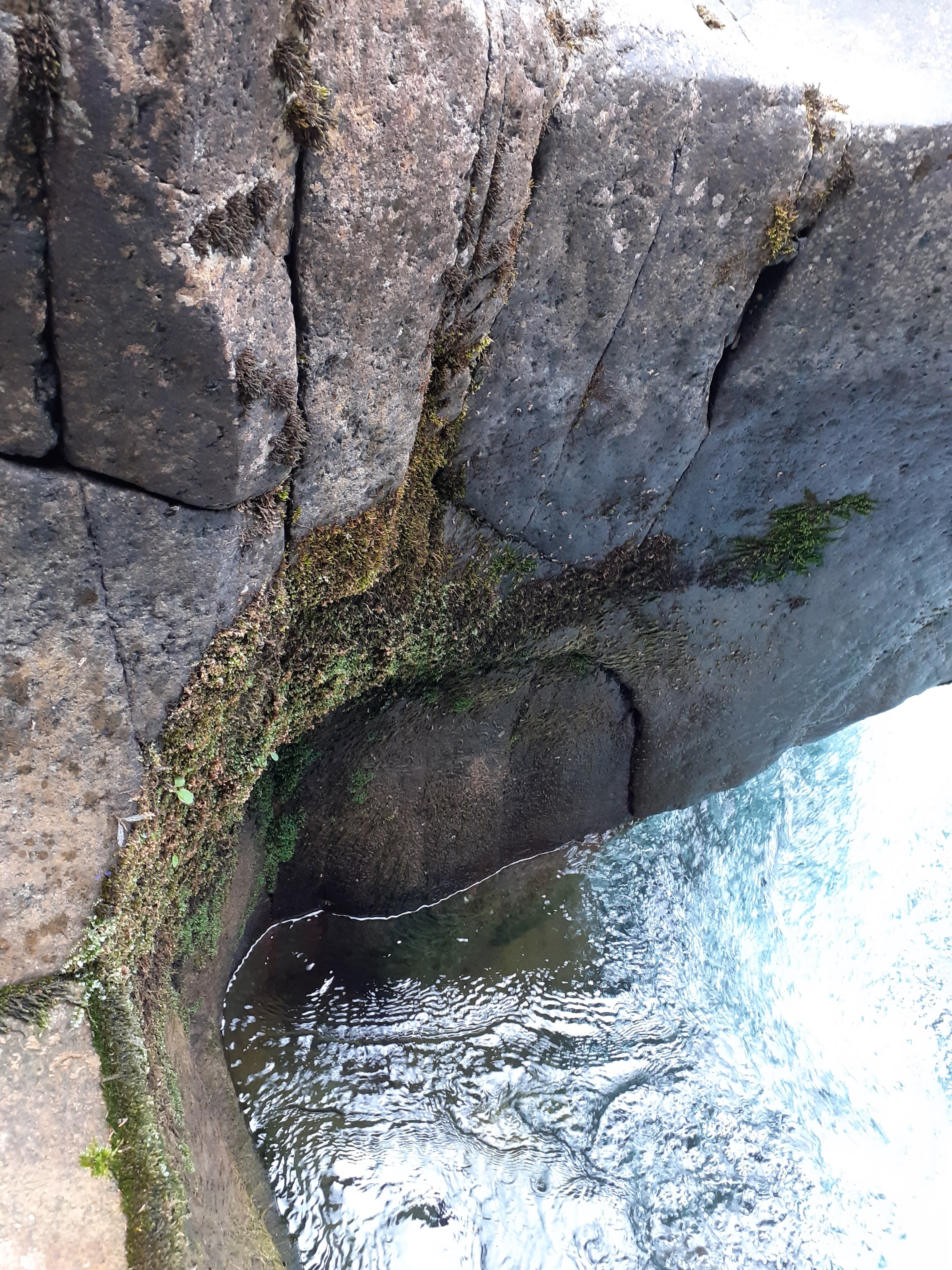 20201004_151704.jpg