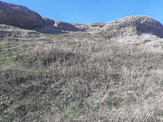 20210126_120021.jpg