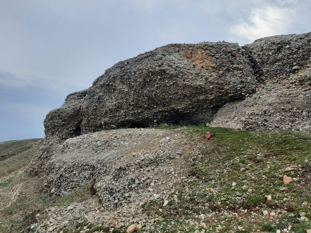 20210128_152954.jpg