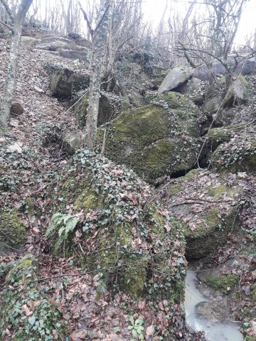 20210130_133353.jpg