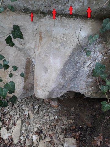 20210130_140318.jpg