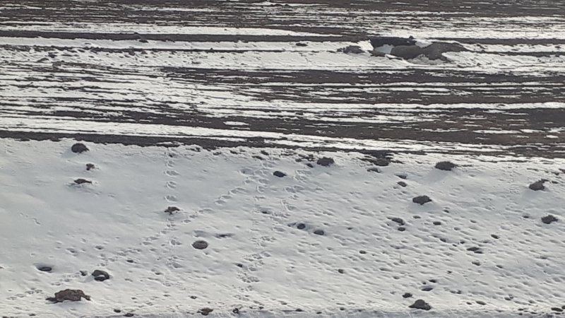 20210225_163744.jpg