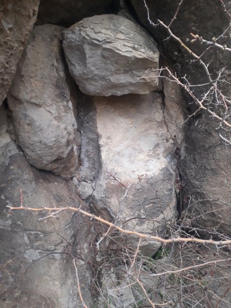 20210406_130824.jpg