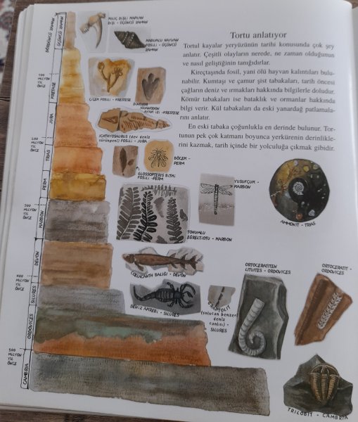 20220502_184048.jpg