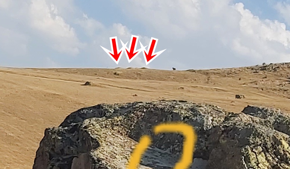 20220808_155756.jpg