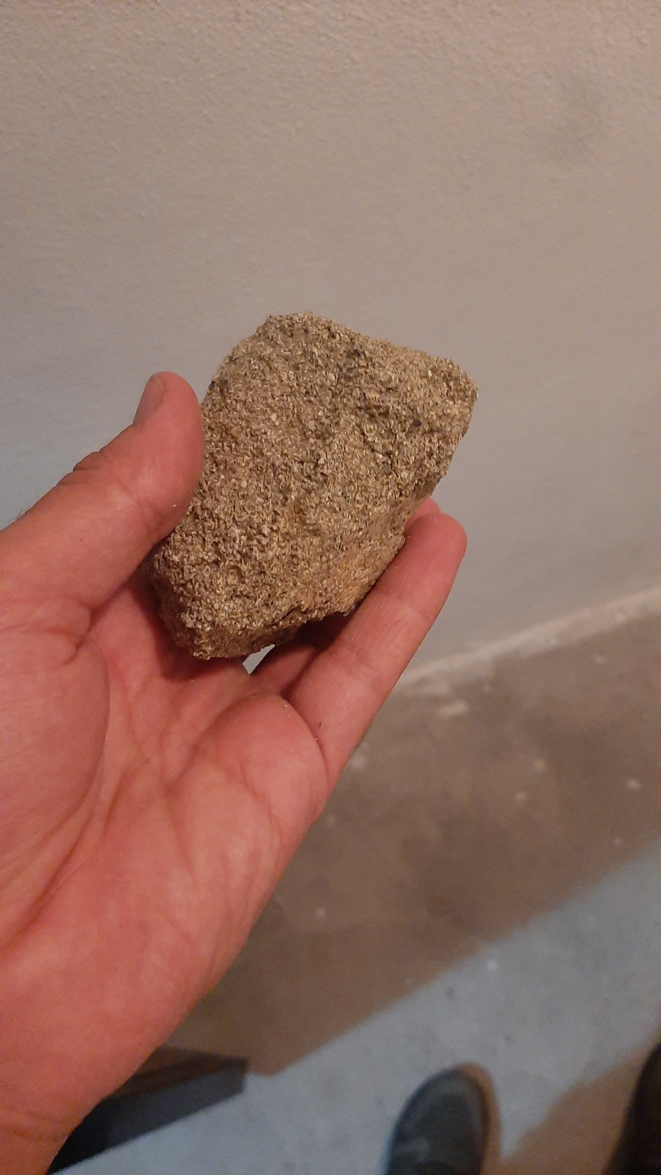 20220827_214051.jpg