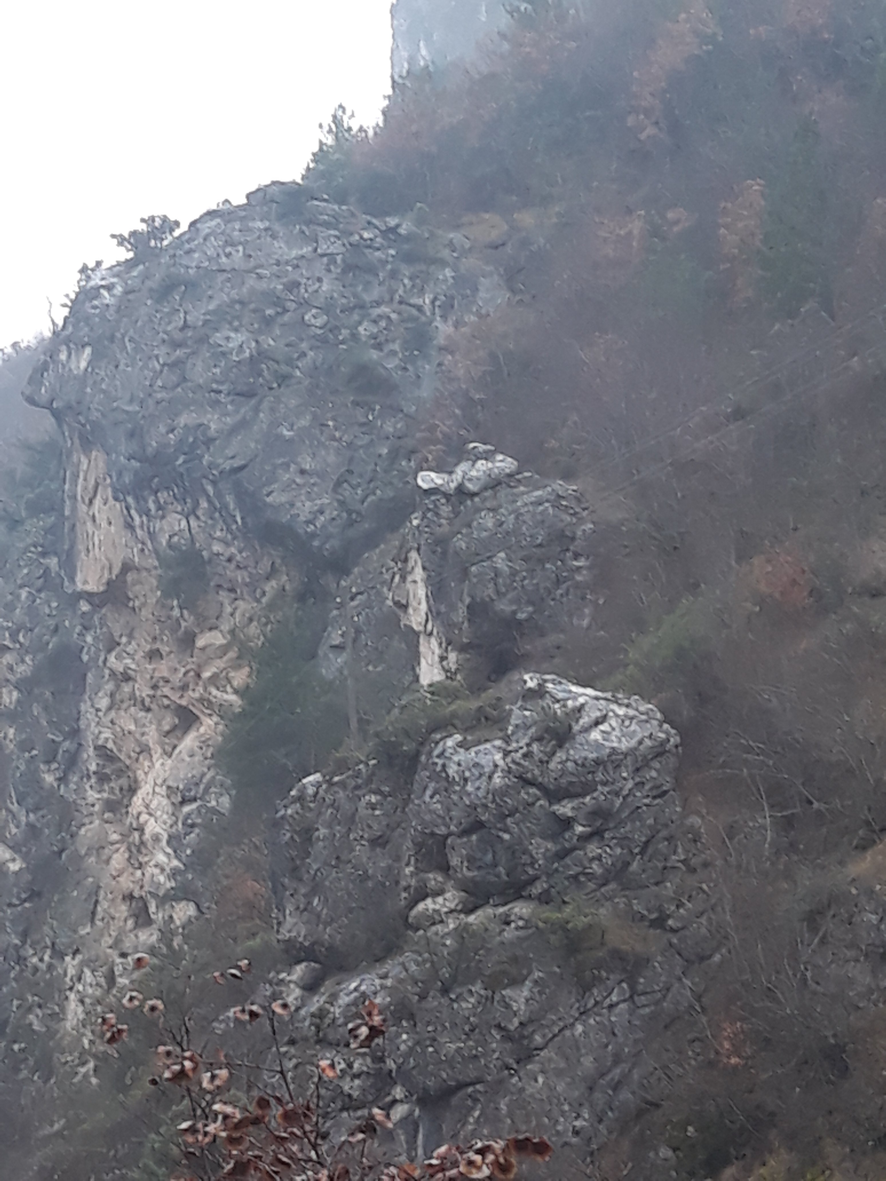 20230106_110520.jpg