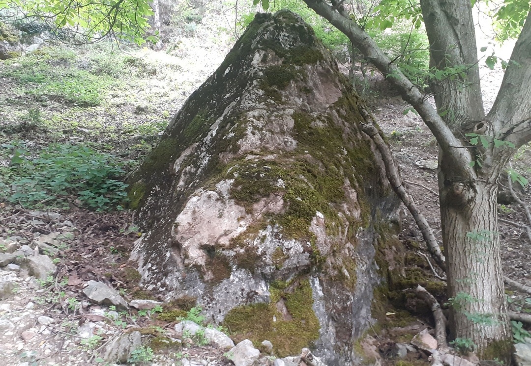 20230129_212711.jpg