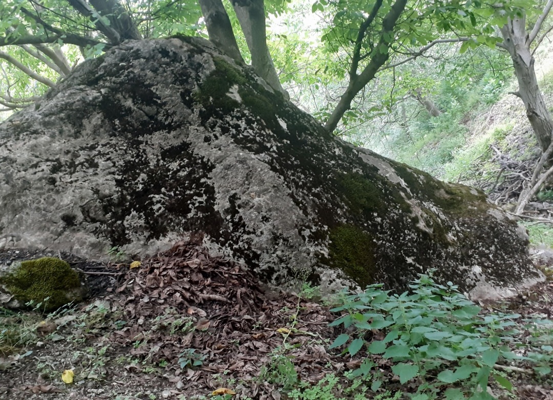 20230129_212732.jpg