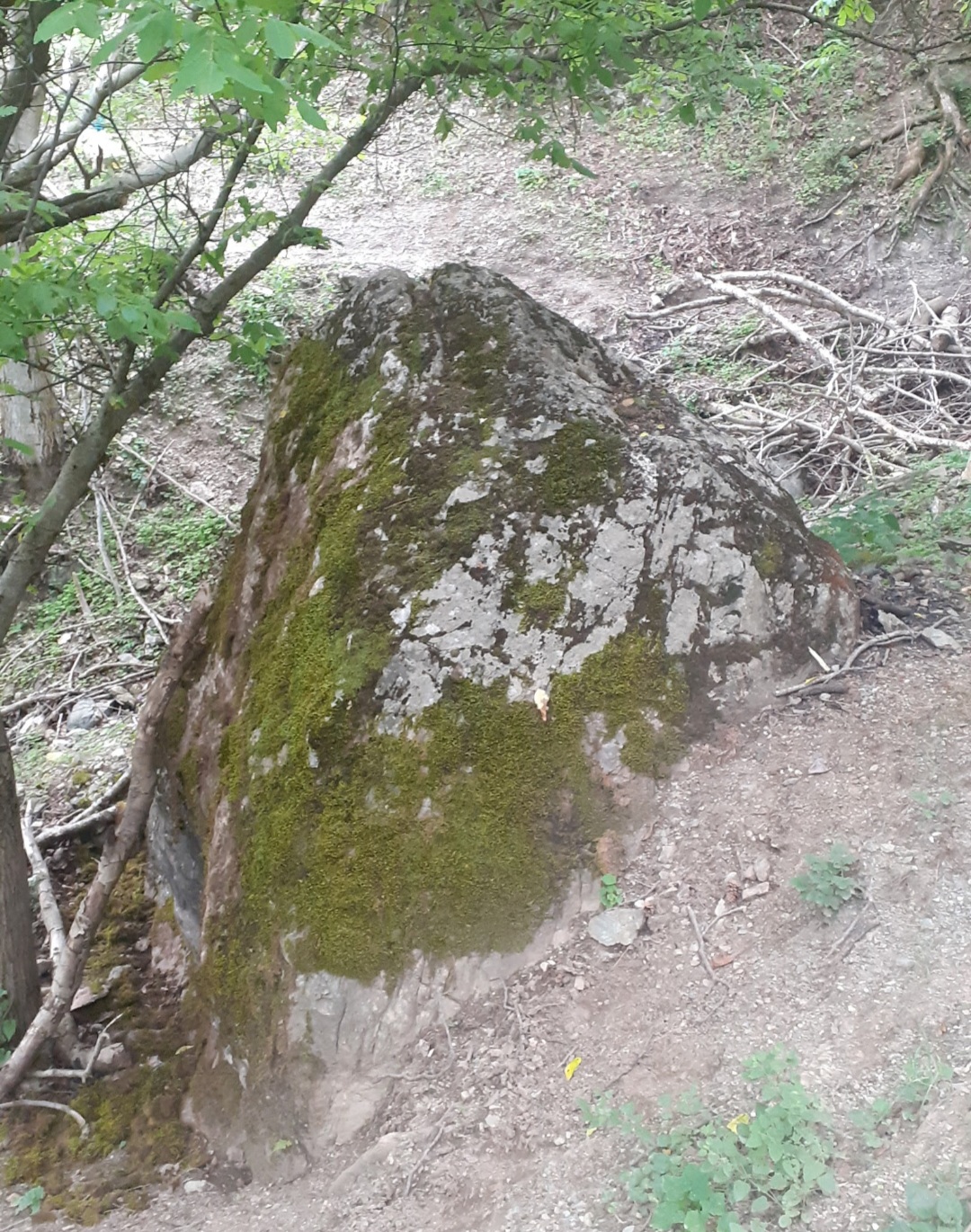 20230129_212807.jpg