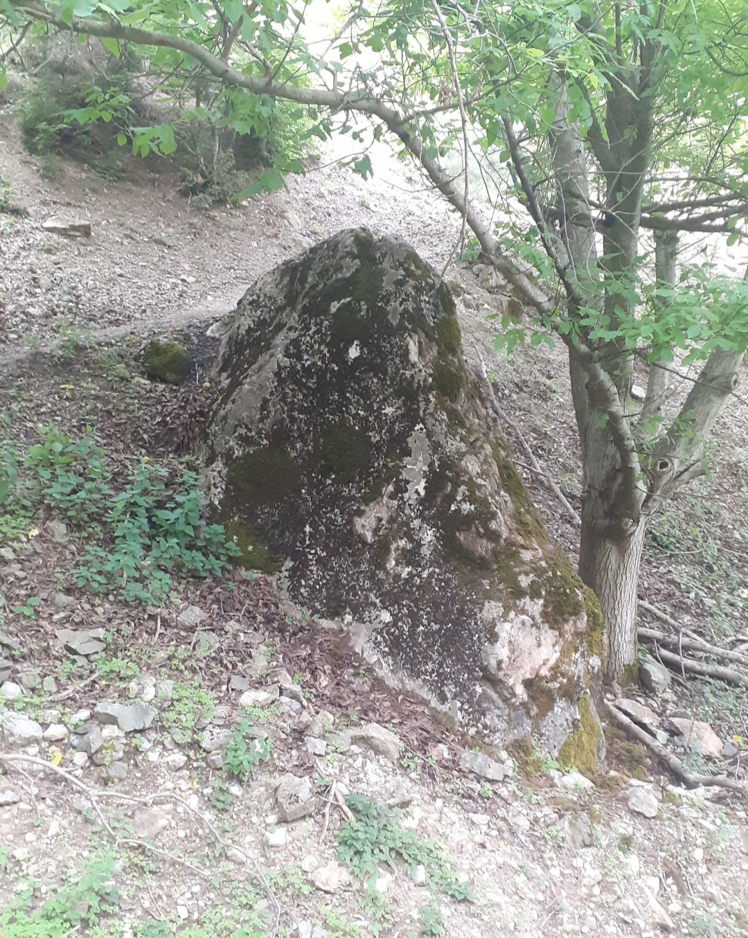 20230129_212825.jpg