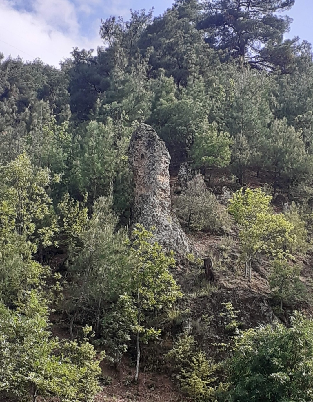 20230130_001151.jpg