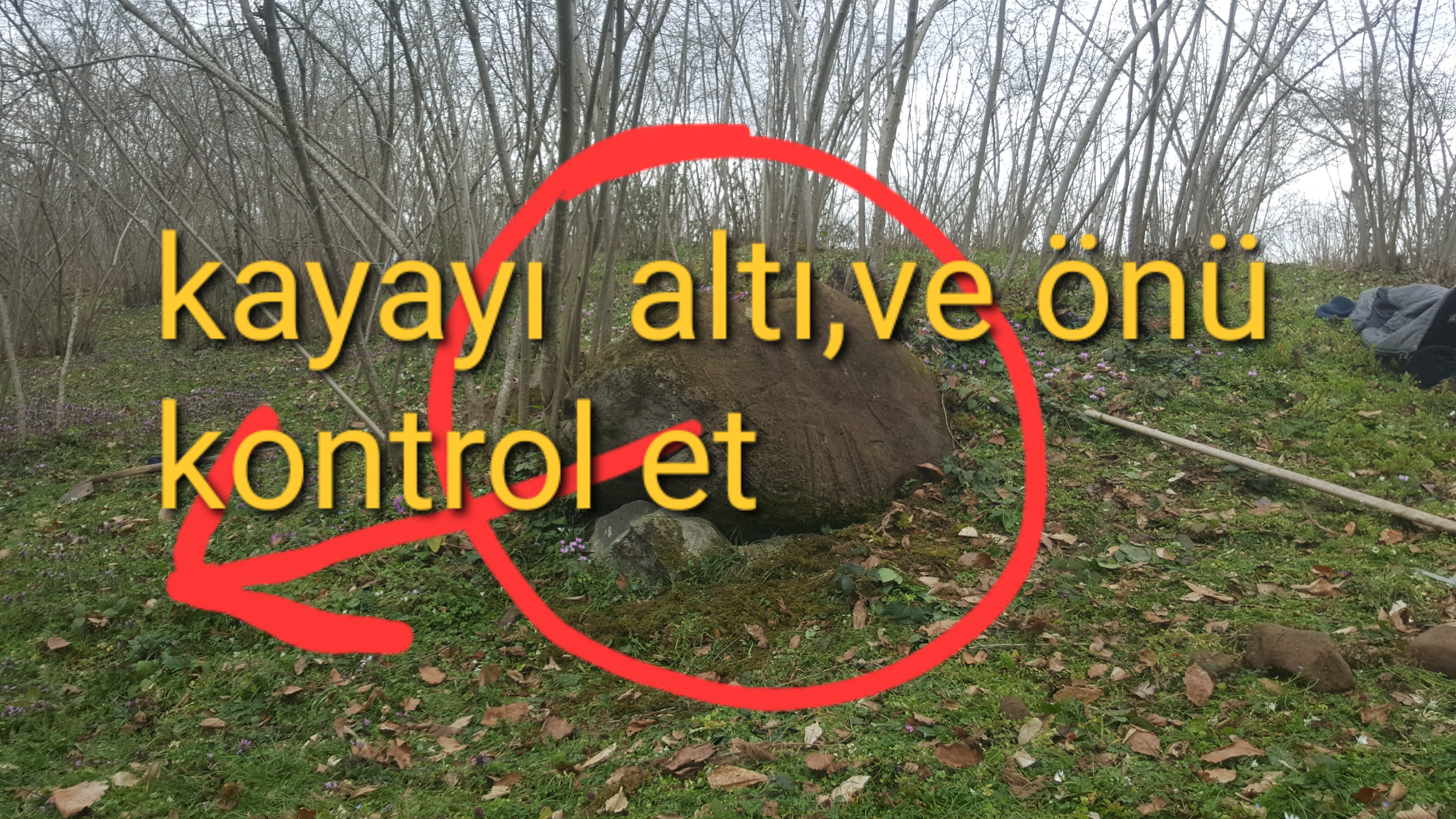 20230305_144755.jpg