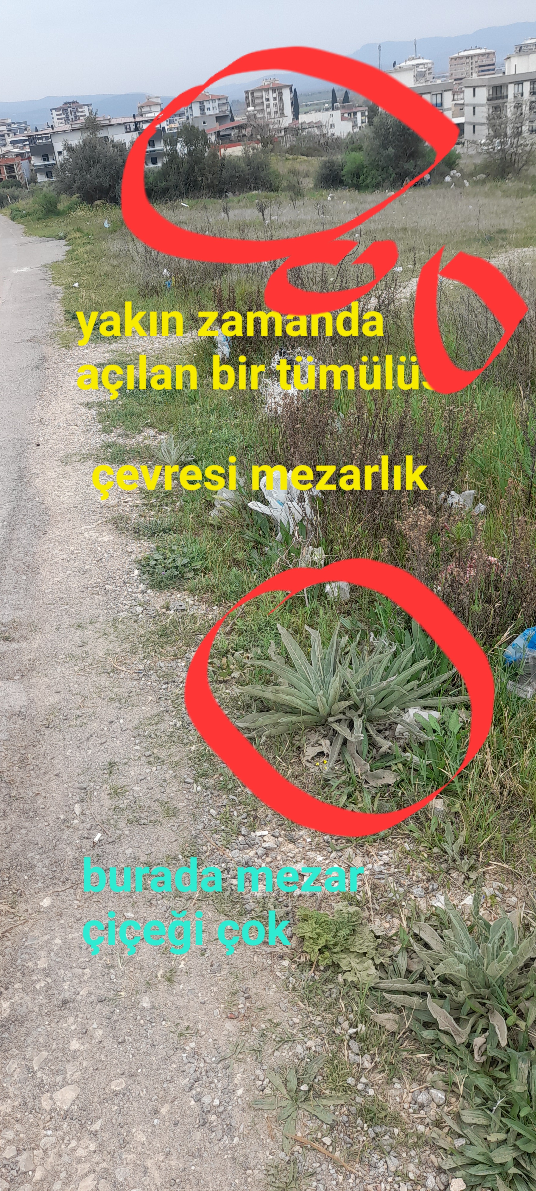 20250324_134522.jpg