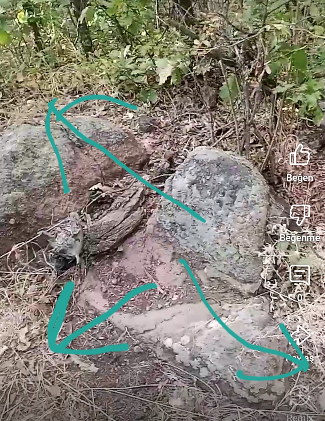 20250923_222108.jpg