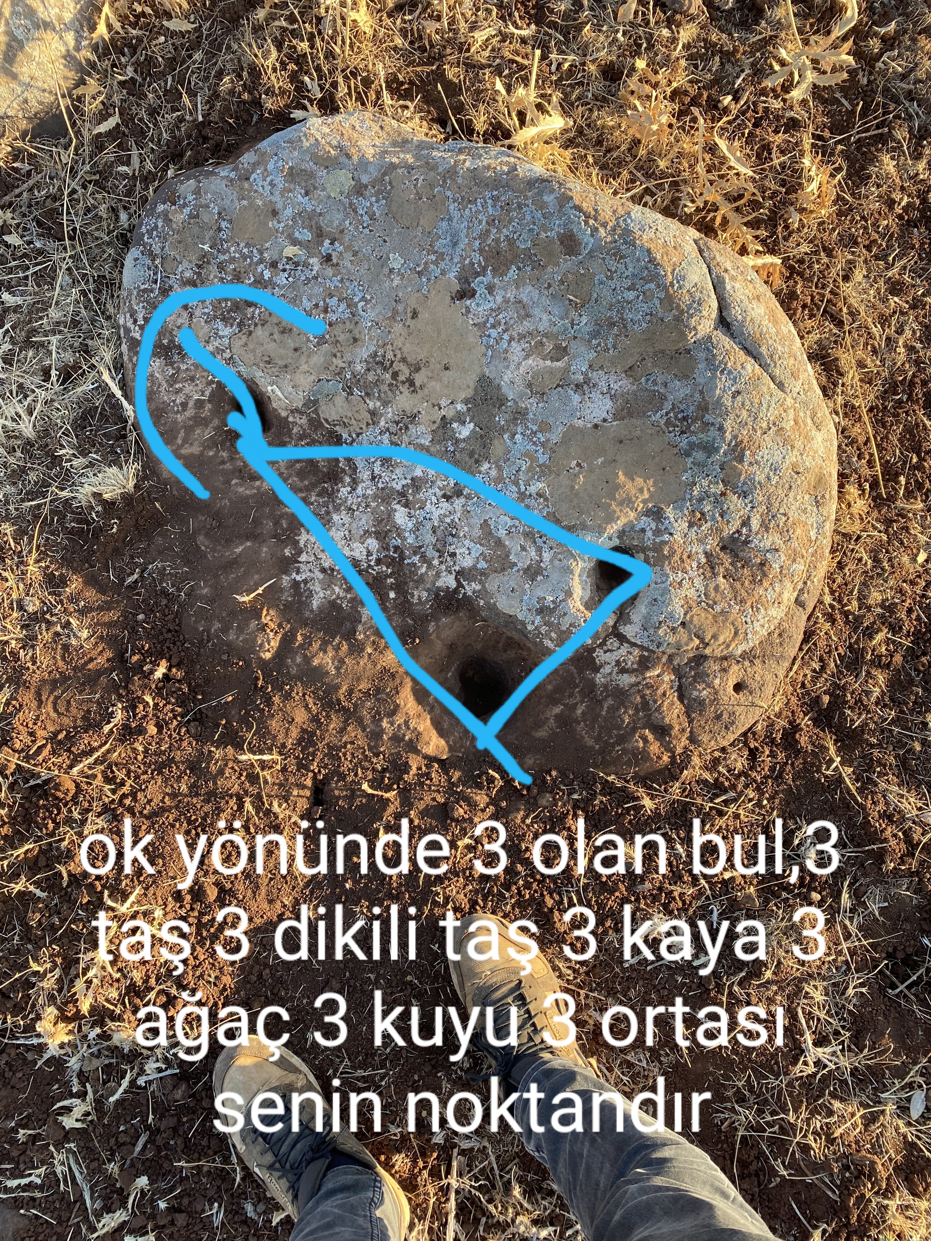 20251019_003345.jpg