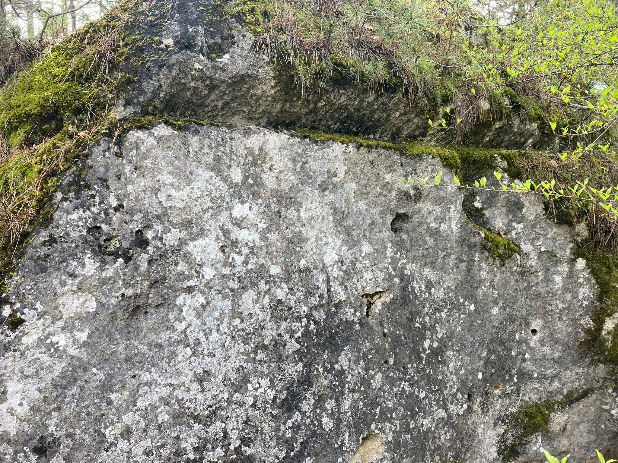 21b5e305-c158-473d-985d-91f22b2380d5.jpeg