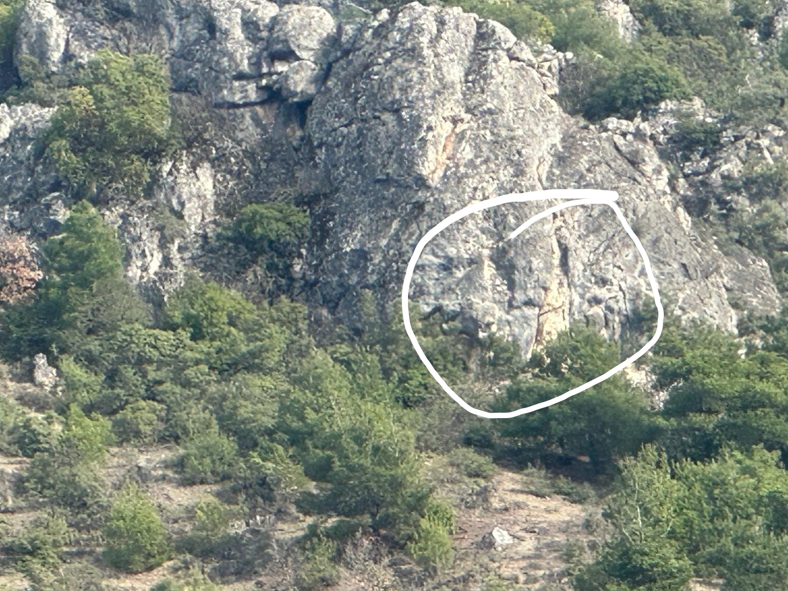 23164.jpg