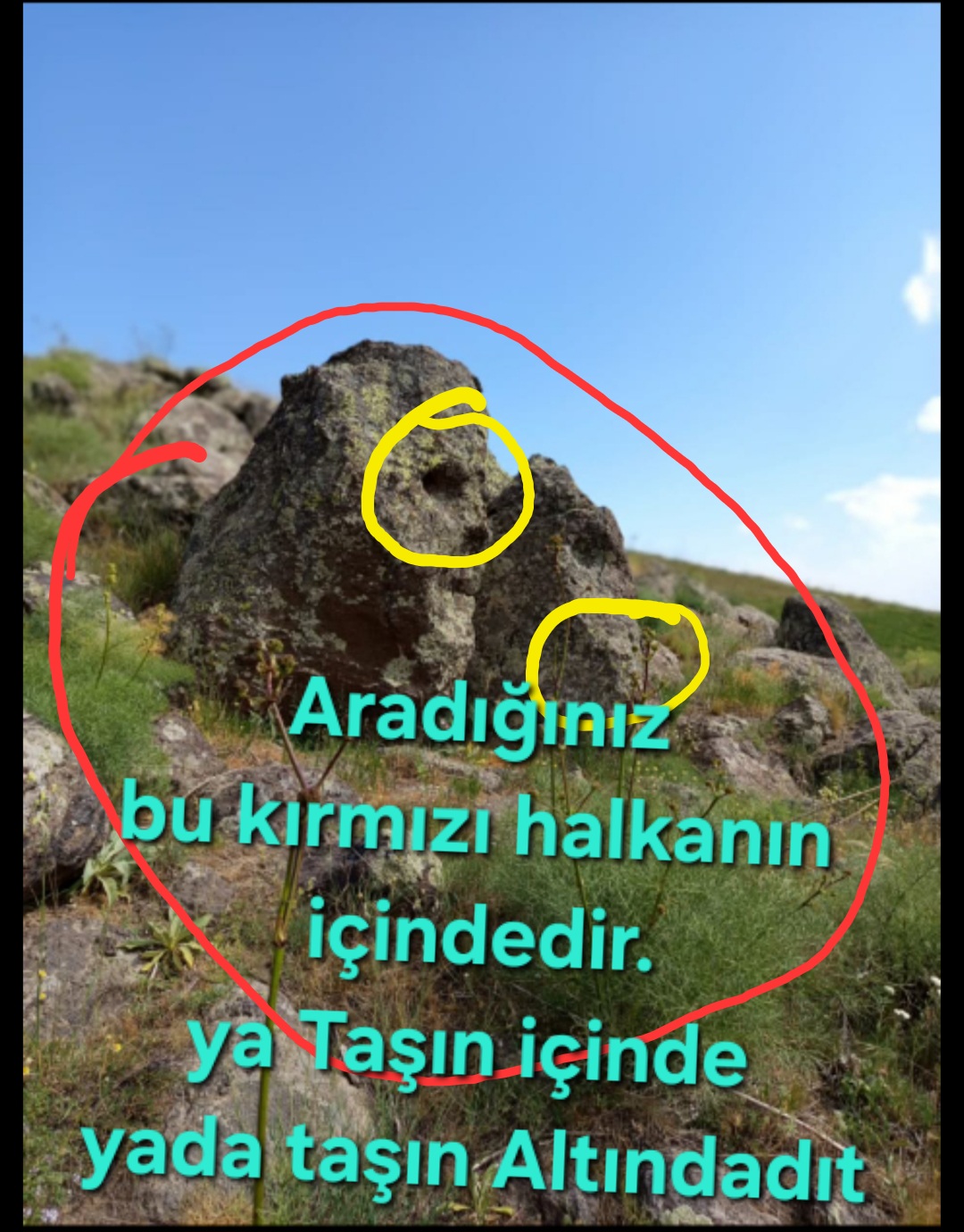 27537.jpg