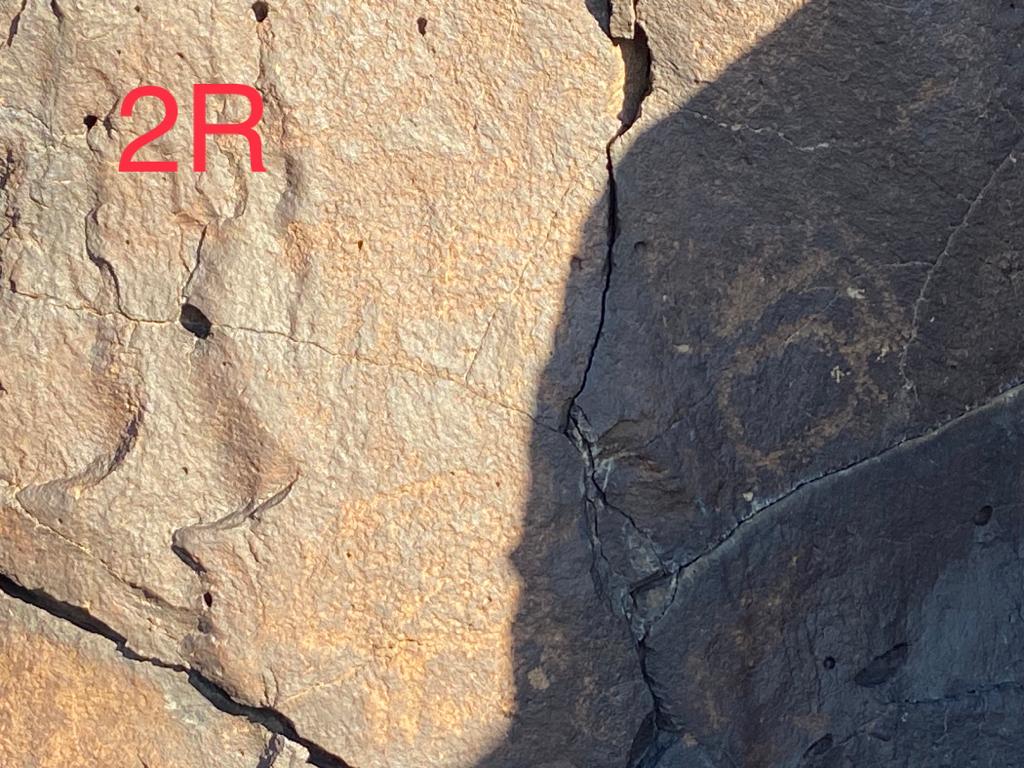 2r.jpg