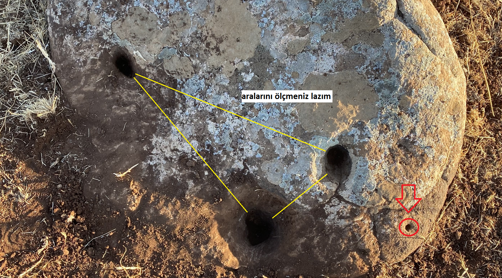 3 oyma (1).png