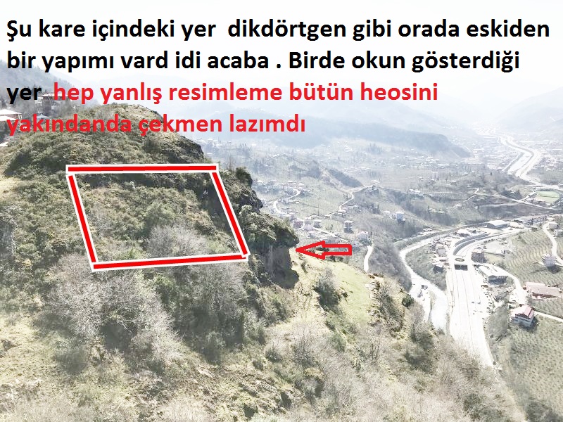323496C9-AF46-4975-AA98-15888F39202A.jpeg