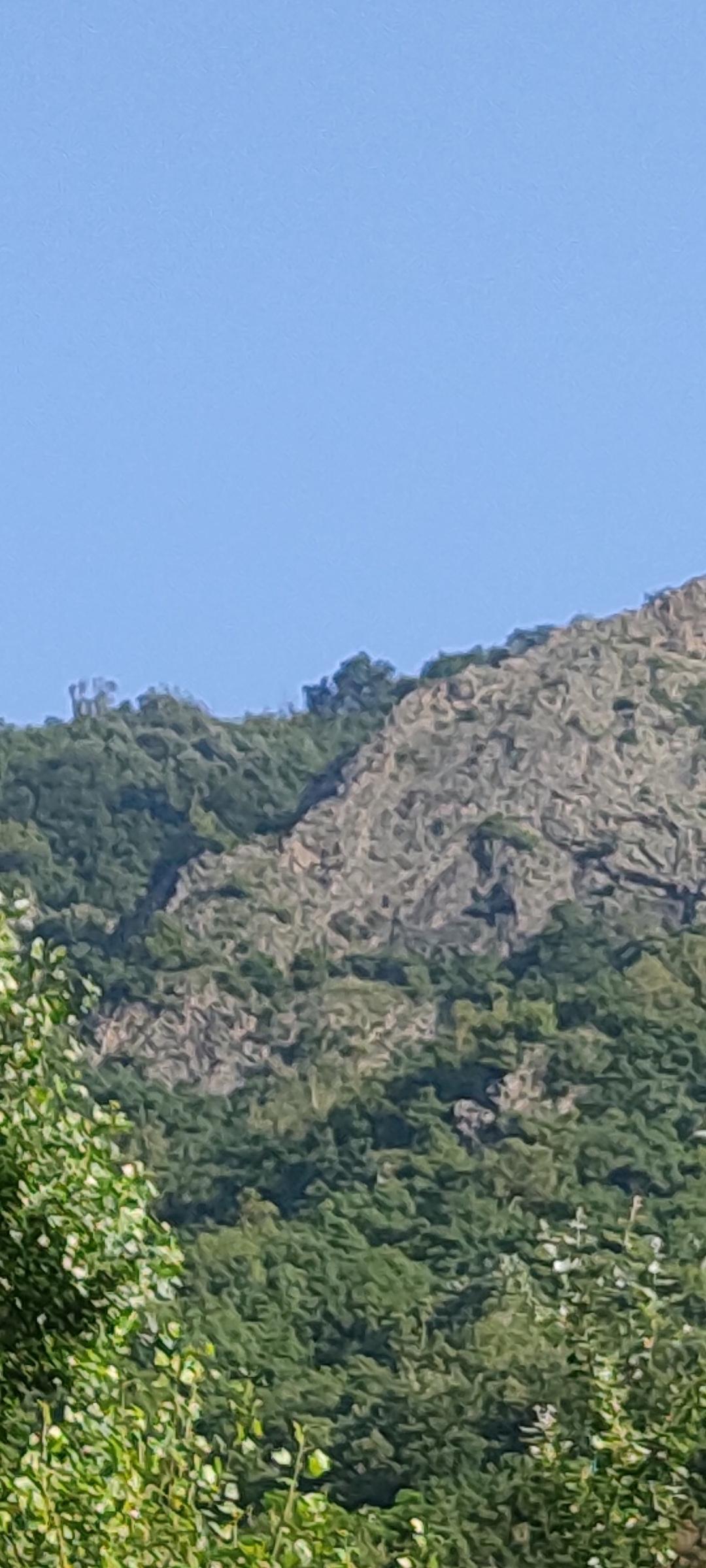 3lü.jpg