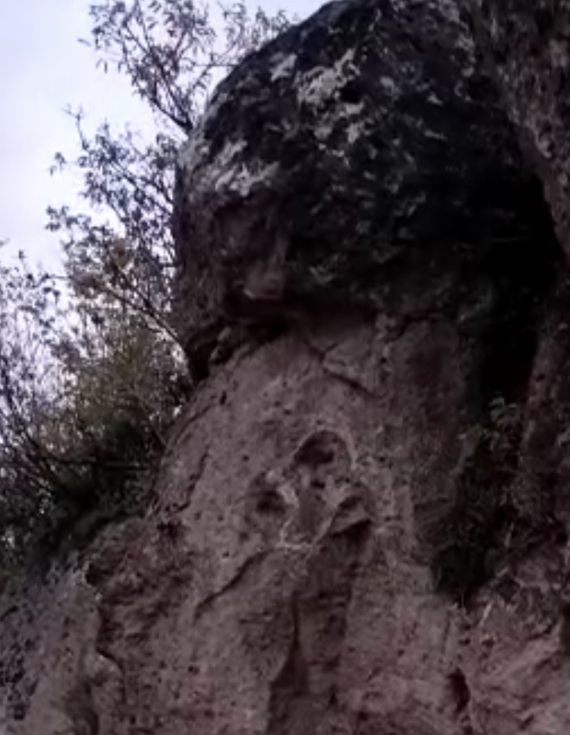 4E252203-4D7A-42BC-9ED0-AD3B60CB723D.jpeg