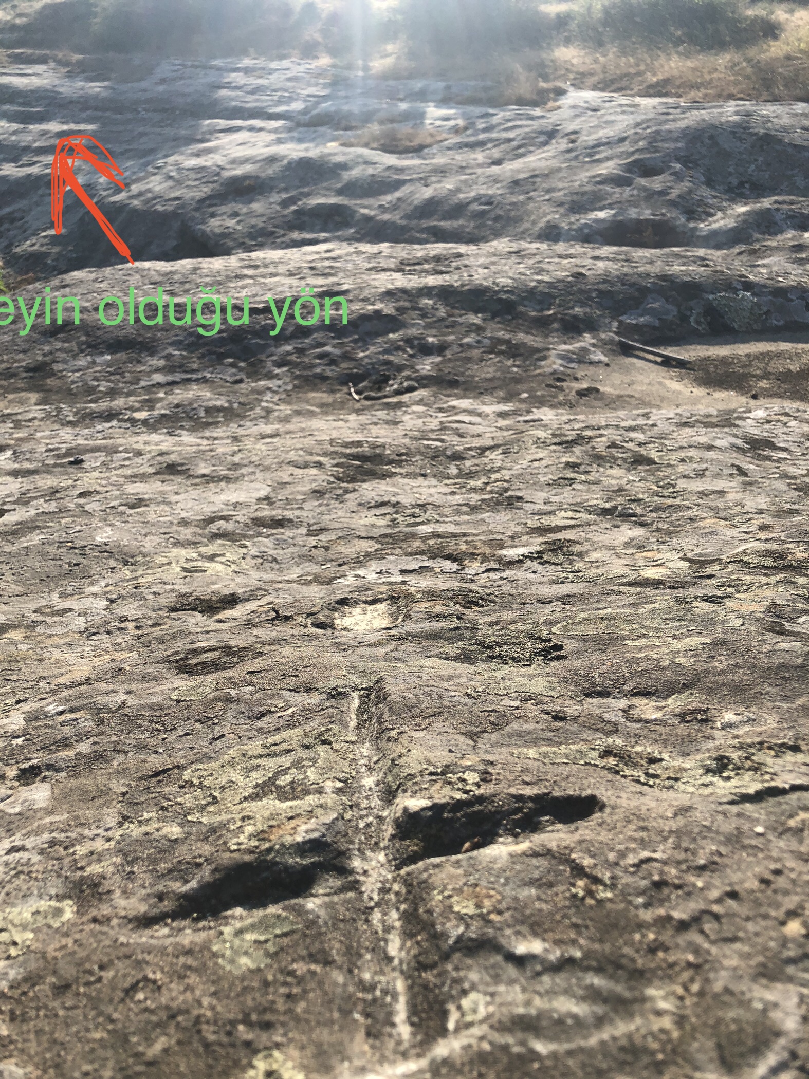 6F3EF594-5F97-424F-AD7D-D408E69B6DFA.jpeg