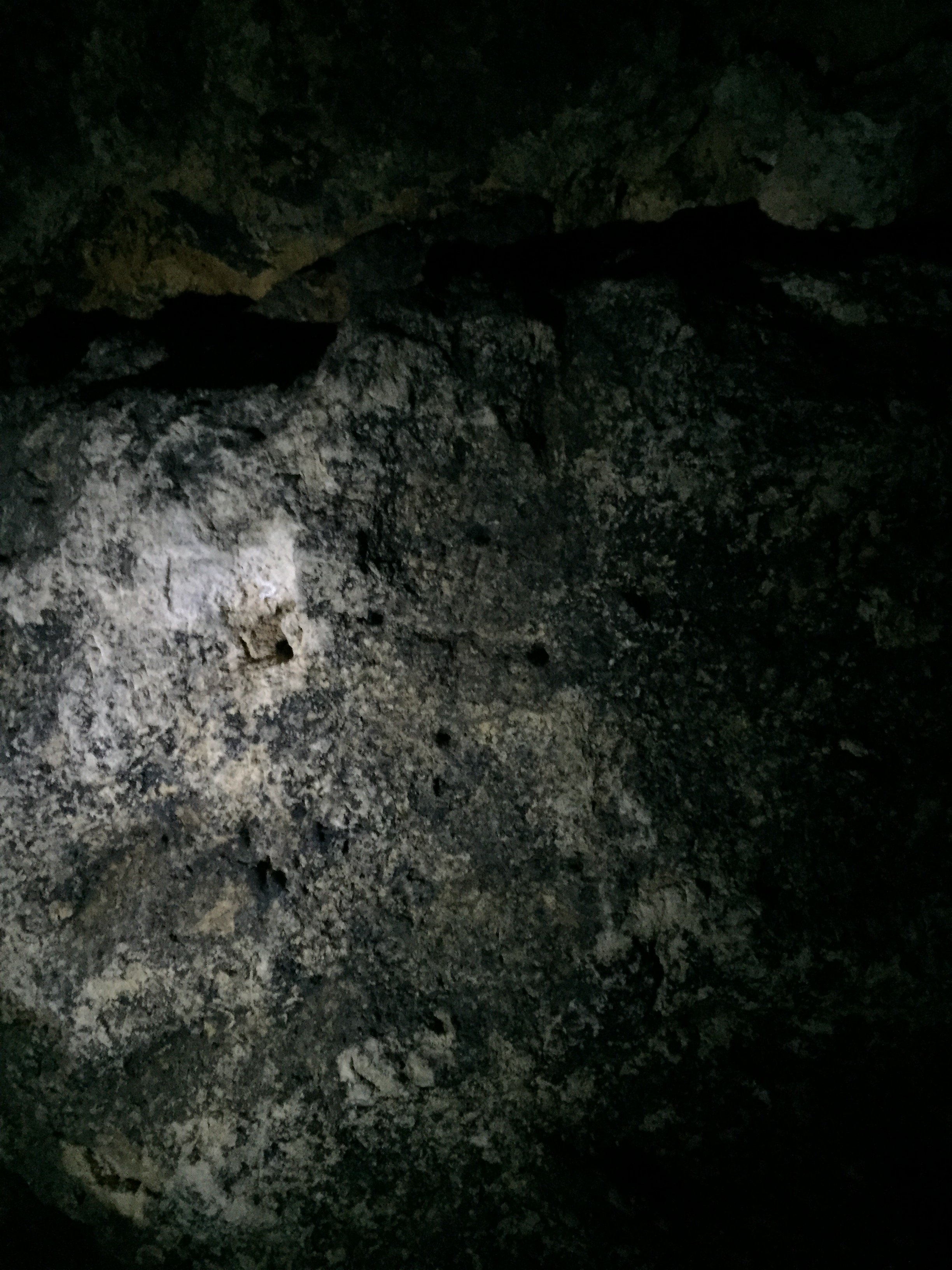 C3B9023C-A185-4F72-AB62-A0E428D92388.jpeg