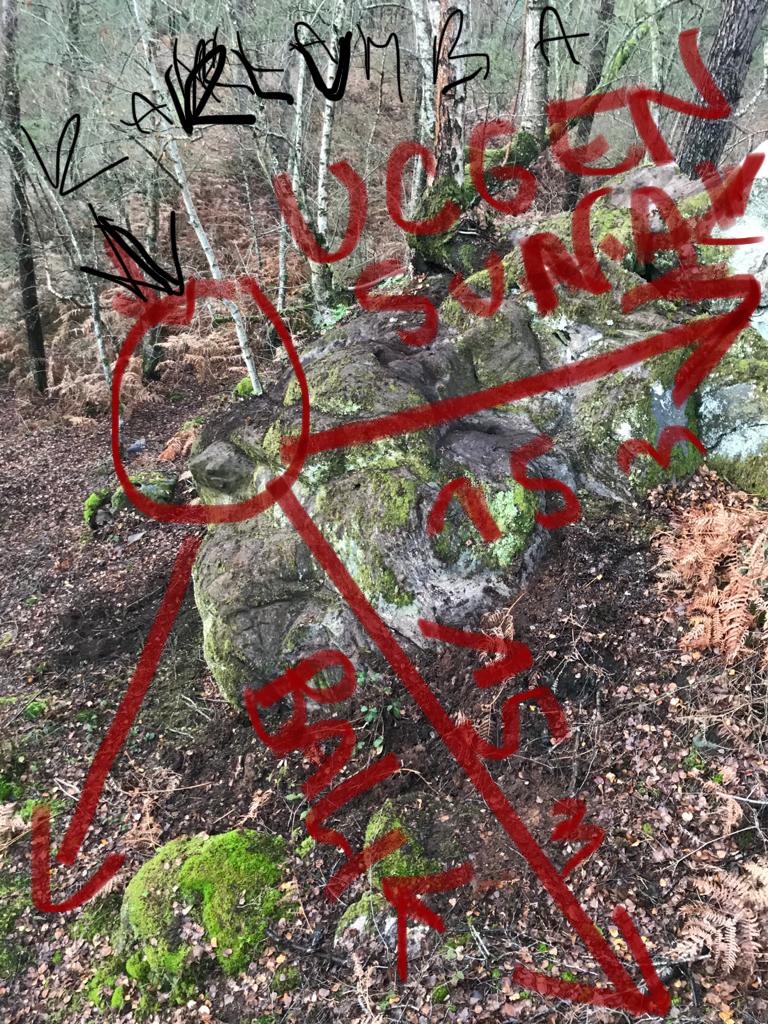 CCC2253F-AA44-424B-9625-C7E9D3B89A49.jpeg