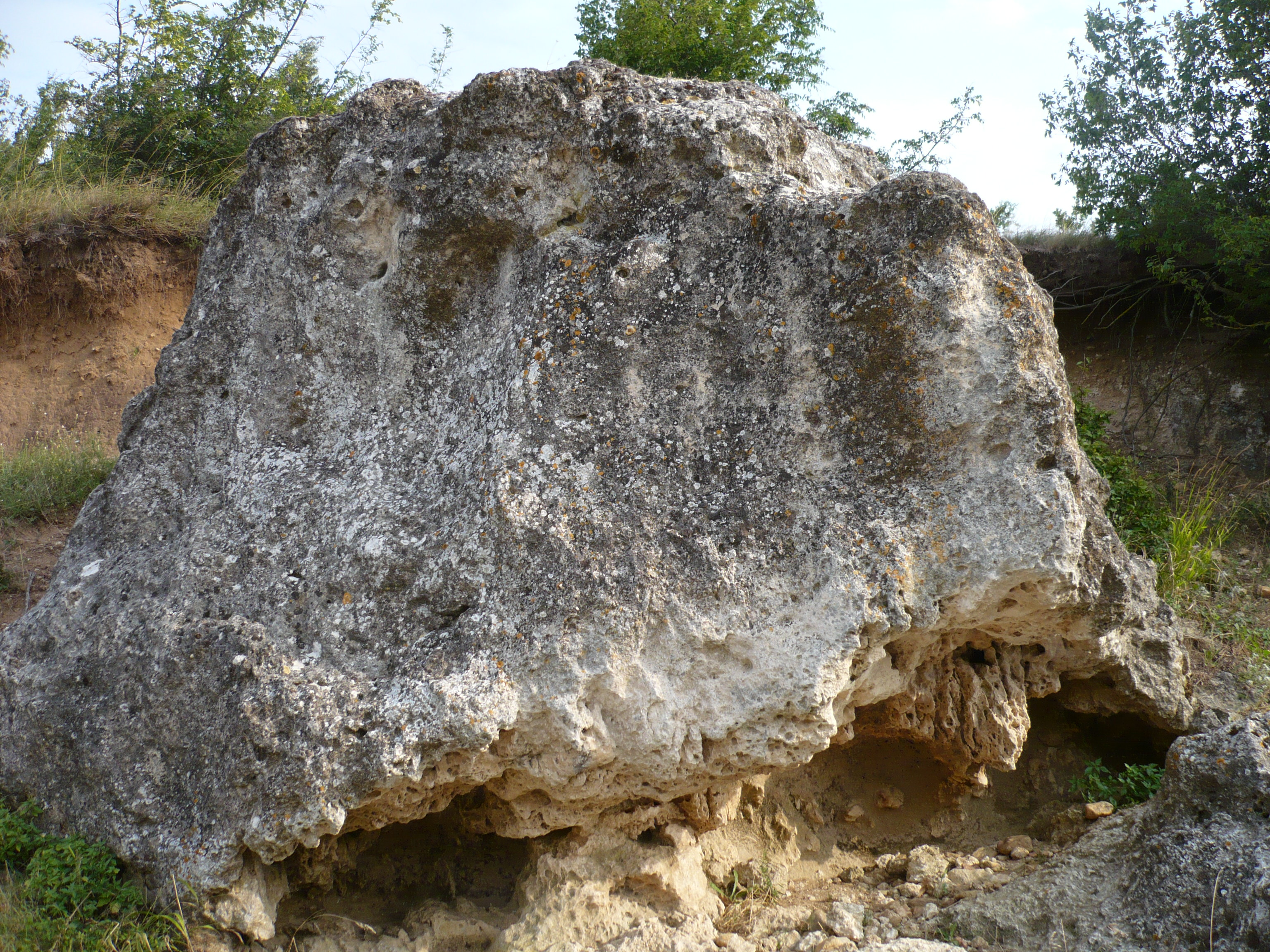 d70.jpg