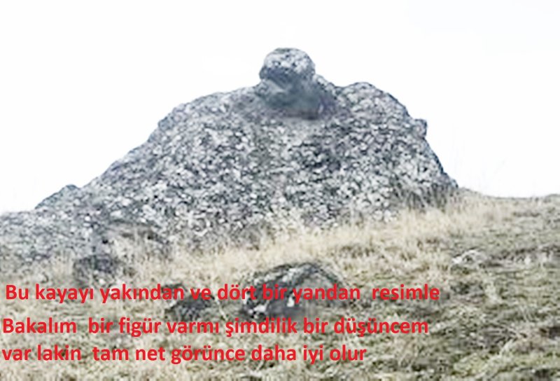 D7137A2A-1EBD-40B4-B62F-FAD77C1CE14F.jpeg