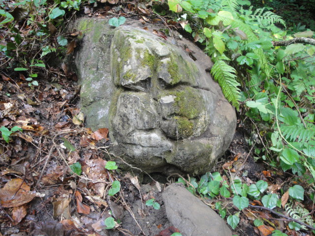 DSC02132.JPG
