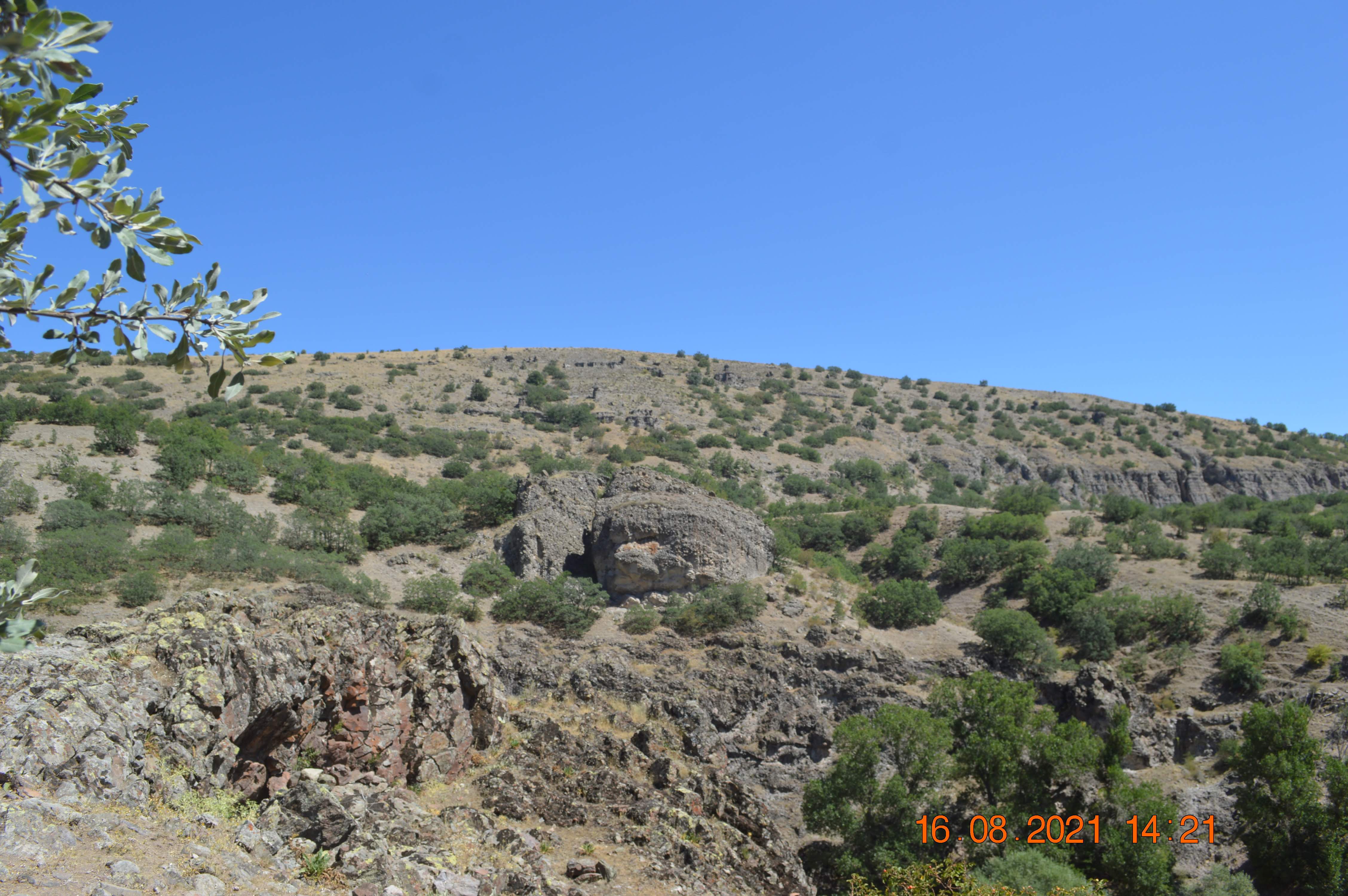 DSC_0010.jpg