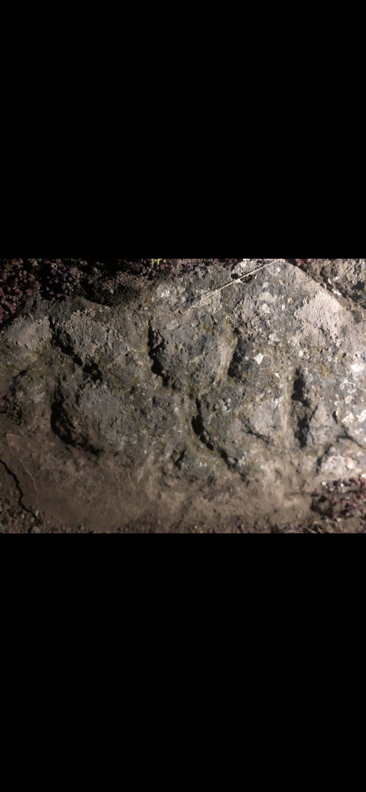 F0943595-D9E5-4952-A797-E067B1FEDBD1.png