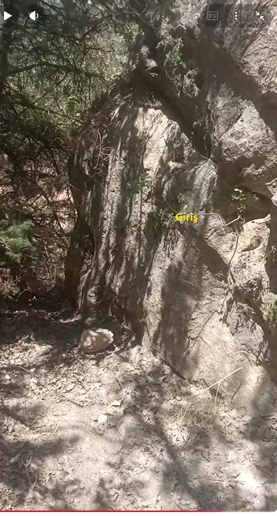 grş.png